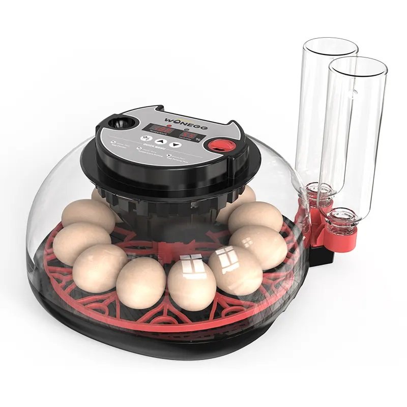 Couveuse Automatique 12 oeufs (Haut)