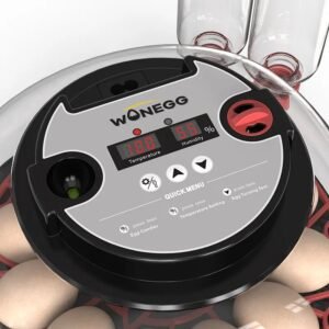 Couveuse Automatique 12 Oeufs