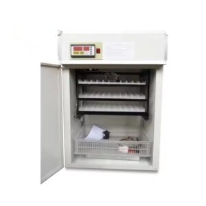 Couveuse Industrielle 264 Oeufs