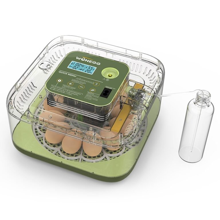 Couveuse Automatique 12 Oeufs Pro (3)
