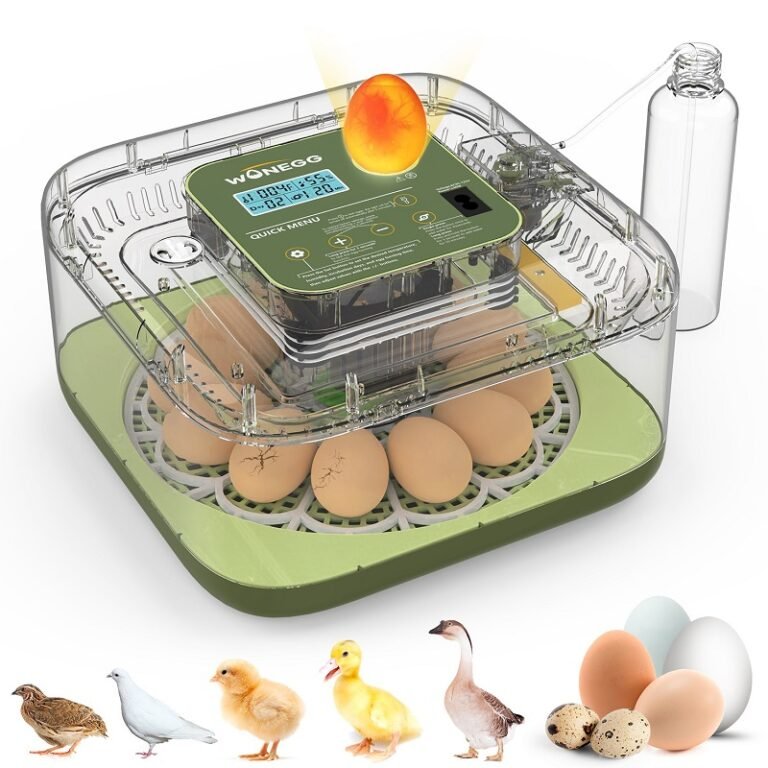 Couveuse Automatique 12 Oeufs Pro (8)
