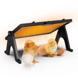 Plaque Chauffante Pour Poussins