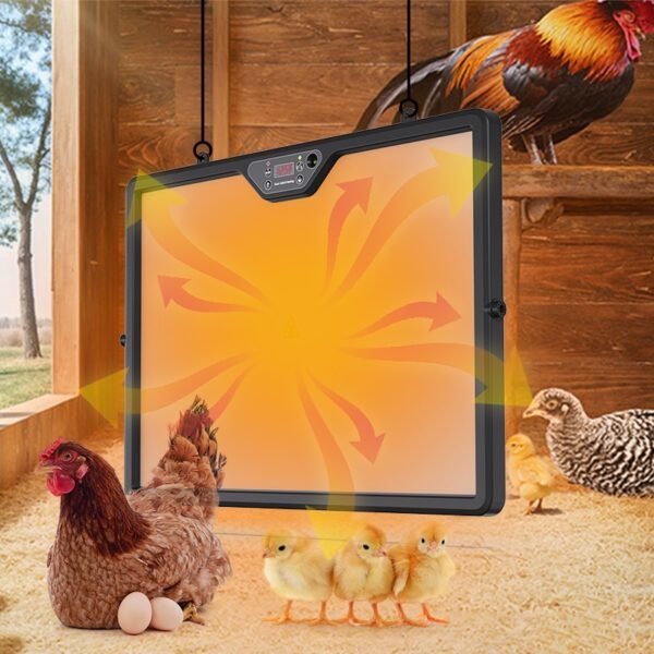 Plaque Chauffante Pour Poussins – Image 6