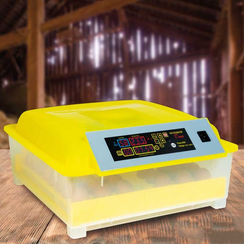 Matériel Avicole Couveuse Automatique 48 oeufs